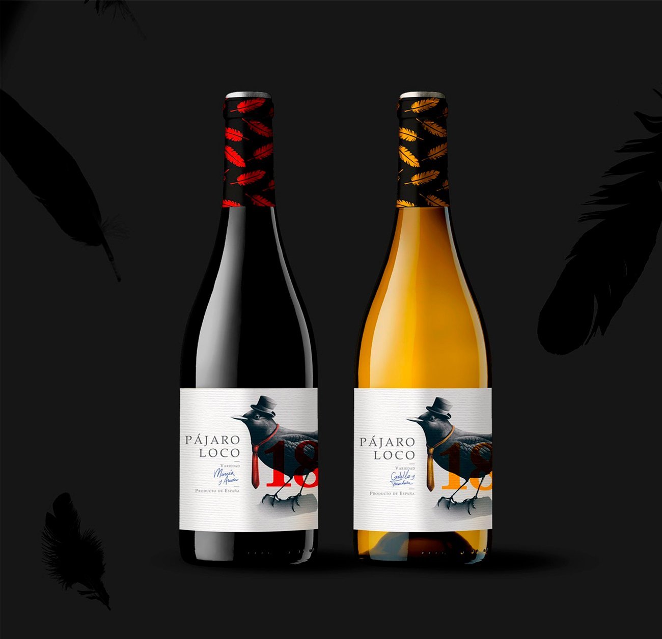 Design and Illustration for Pajara loco wine by Sr.Reny